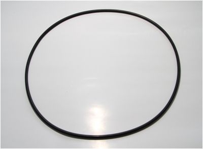 Sealing ring, wheel hub (planetary gearbox) CORTECO 19019093