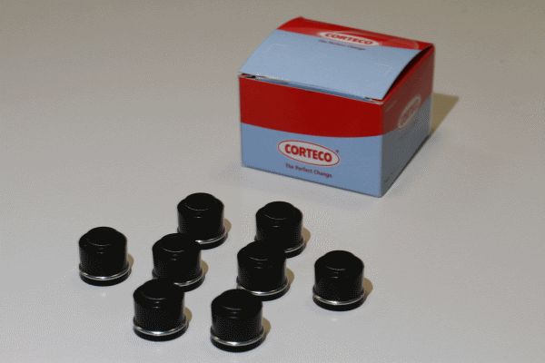 CORTECO 19036000 Seal Set, valve stem