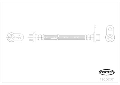 Brake Hose CORTECO 19036501