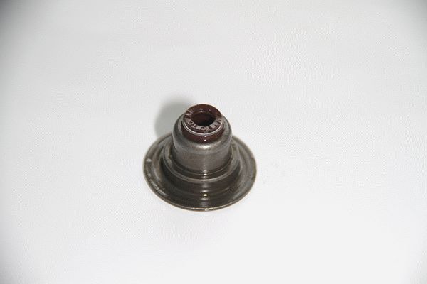 CORTECO 19036941 Seal Ring, valve stem