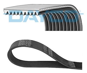 DAYCO 10PK2050HD V-Ribbed Belt