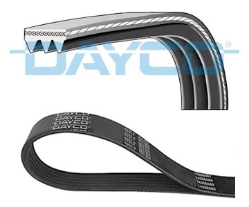 DAYCO 3PK1005 V-Ribbed Belt