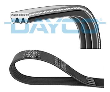 V-Ribbed Belt DAYCO 3PK576EE