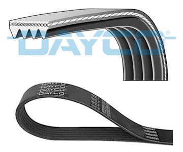 DAYCO 4PK1013 V-Ribbed Belt