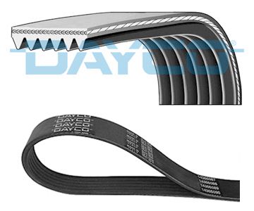 V-Ribbed Belt DAYCO 6PK1020K