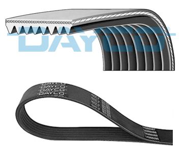 DAYCO 8PK1165HD V-Ribbed Belt