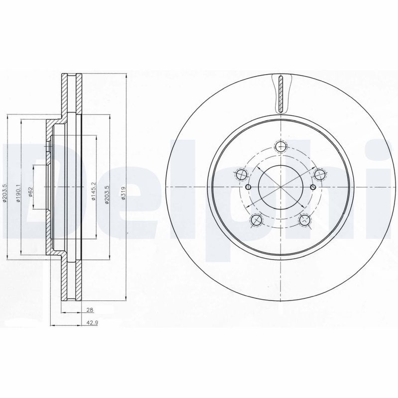 DELPHI BG4253 Brake Disc