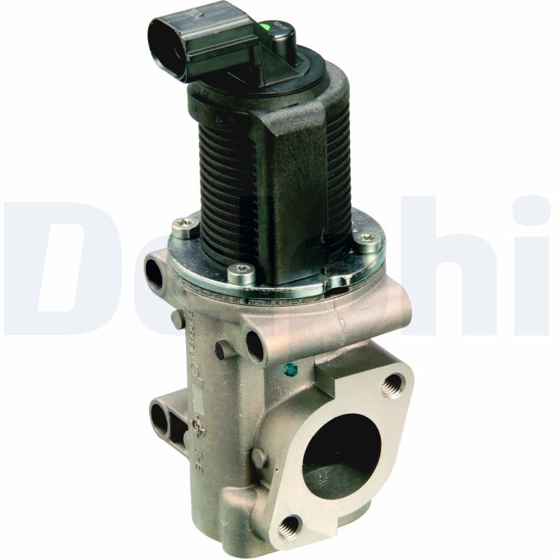 DELPHI EG10301-12B1 EGR Valve