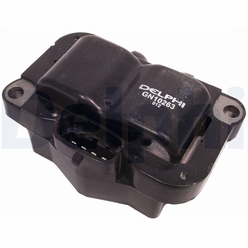 DELPHI GN10263-12B1 Ignition Coil