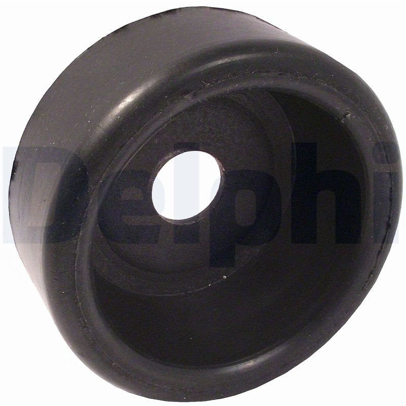 DELPHI TD774W Bushing, axle beam