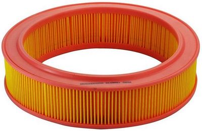 Air Filter DENCKERMANN A140051