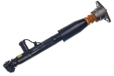 Air Suspension Strut DENCKERMANN DSA029G