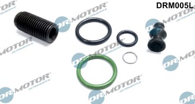 Repair Kit, unit injector Dr.Motor Automotive DRM005L