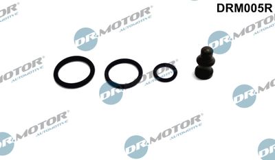 Repair Kit, unit injector Dr.Motor Automotive DRM005R