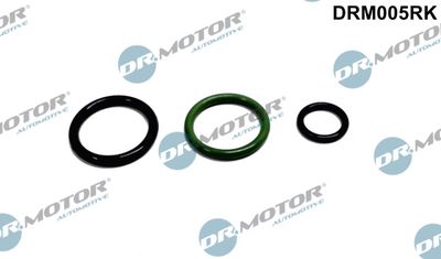 Repair Kit, unit injector Dr.Motor Automotive DRM005RK