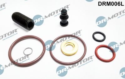 Repair Kit, unit injector Dr.Motor Automotive DRM006L