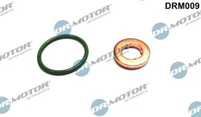 Seal Kit, injector nozzle Dr.Motor Automotive DRM009