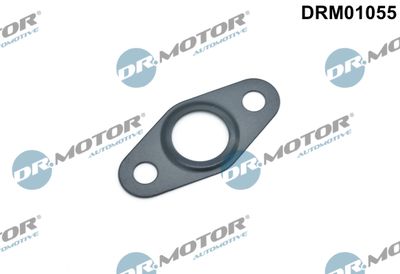 Gasket, oil outlet (charger) Dr.Motor Automotive DRM01055