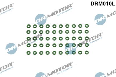Seal Ring, nozzle holder Dr.Motor Automotive DRM010L