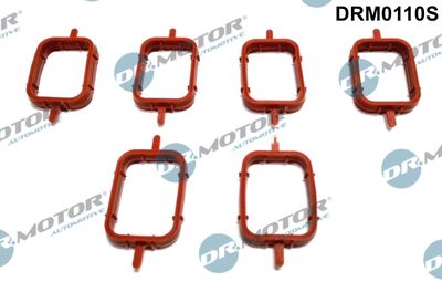 Gasket Set, intake manifold Dr.Motor Automotive DRM0110S