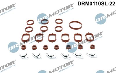 Repair Kit, intake manifold module Dr.Motor Automotive DRM0110SL-22