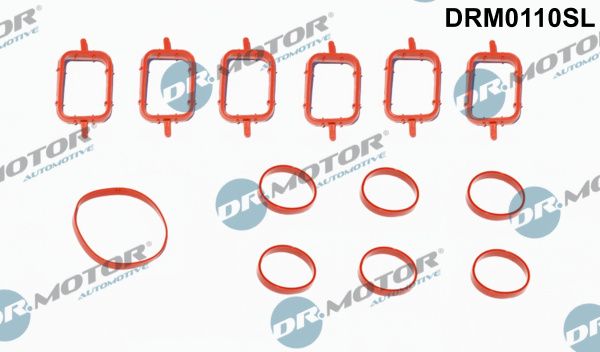 Dr.Motor Automotive DRM0110SL Gasket Set, intake manifold