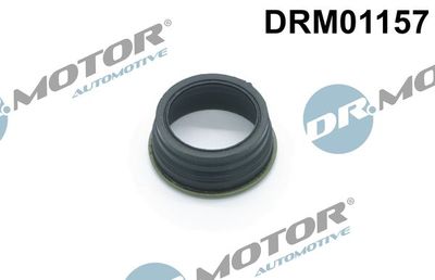 Seal, oil filler neck cap Dr.Motor Automotive DRM01157