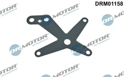 Gasket Set, hydraulic pump Dr.Motor Automotive DRM01158