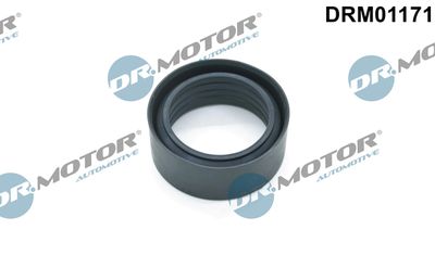 Seal Ring, charge air hose Dr.Motor Automotive DRM01171