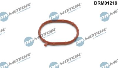 Seal Ring, charger Dr.Motor Automotive DRM01219