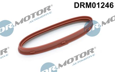 Seal Ring, charger Dr.Motor Automotive DRM01246
