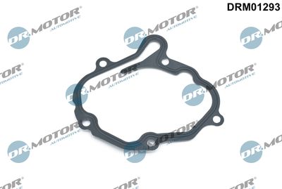 Gasket, vacuum pump Dr.Motor Automotive DRM01293