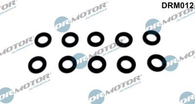 Seal Ring, nozzle holder Dr.Motor Automotive DRM012