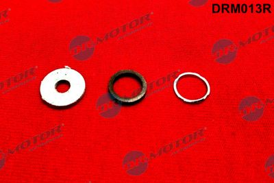 Repair Kit, common rail system Dr.Motor Automotive DRM013R