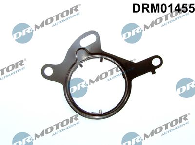 Gasket, vacuum pump Dr.Motor Automotive DRM01455