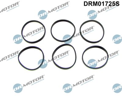 Gasket Set, intake manifold Dr.Motor Automotive DRM01725S