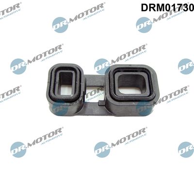 Oil Seal, automatic transmission Dr.Motor Automotive DRM01730