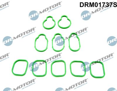 Gasket Set, intake manifold Dr.Motor Automotive DRM01737S