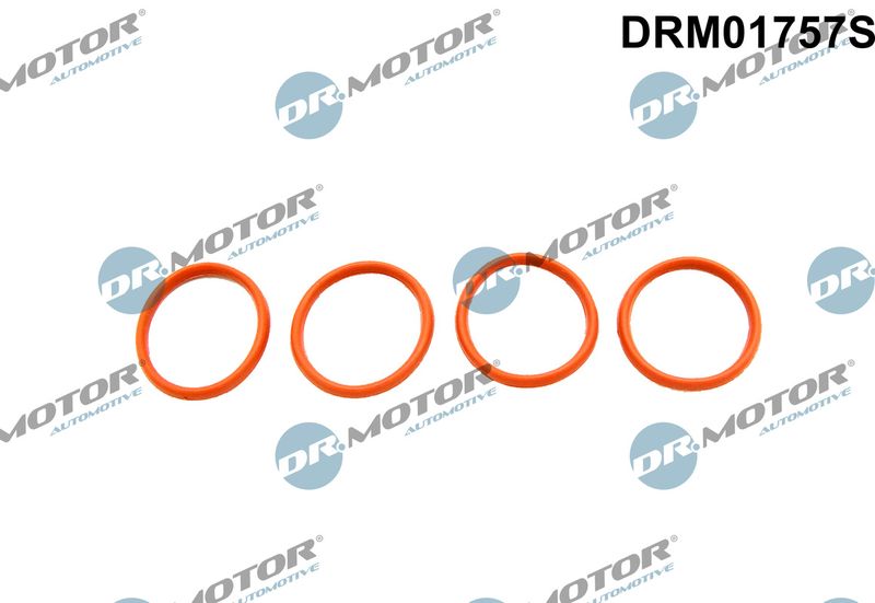 Dr.Motor Automotive DRM01757S Gasket Set, intake manifold