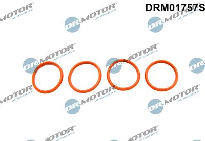Gasket Set, intake manifold Dr.Motor Automotive DRM01757S