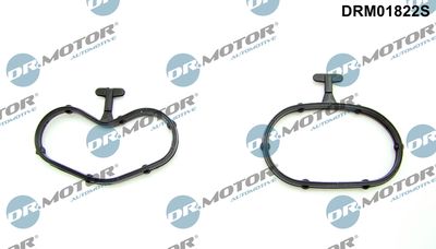 Gasket Set, oil cooler Dr.Motor Automotive DRM01822S