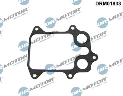 Gasket, oil cooler Dr.Motor Automotive DRM01833