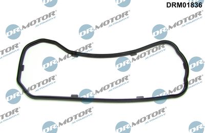 Gasket, oil sump Dr.Motor Automotive DRM01836