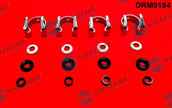 Dr.Motor Automotive DRM0184 Repair Kit, injection nozzle