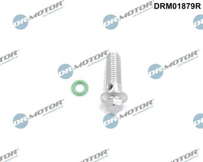 Repair Kit, oil pump Dr.Motor Automotive DRM01879R