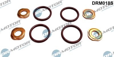 Seal Set, injection system Dr.Motor Automotive DRM018S