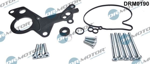 Dr.Motor Automotive DRM0190 Repair Set, vacuum pump (braking system)