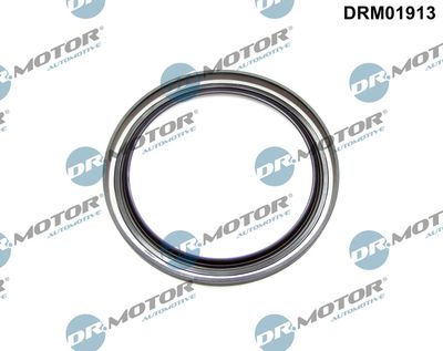 Shaft Seal, crankshaft Dr.Motor Automotive DRM01913