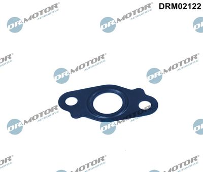 Gasket, oil outlet (charger) Dr.Motor Automotive DRM02122