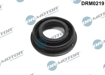 Seal, injector holder Dr.Motor Automotive DRM0219